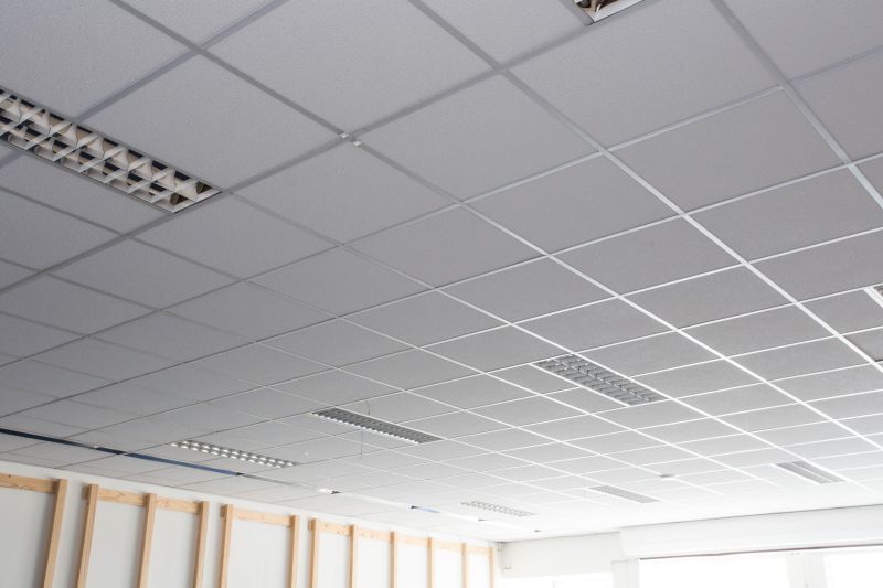 Ceiling Tiles Replacement