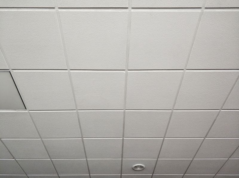 Ceiling Tiles Replacement
