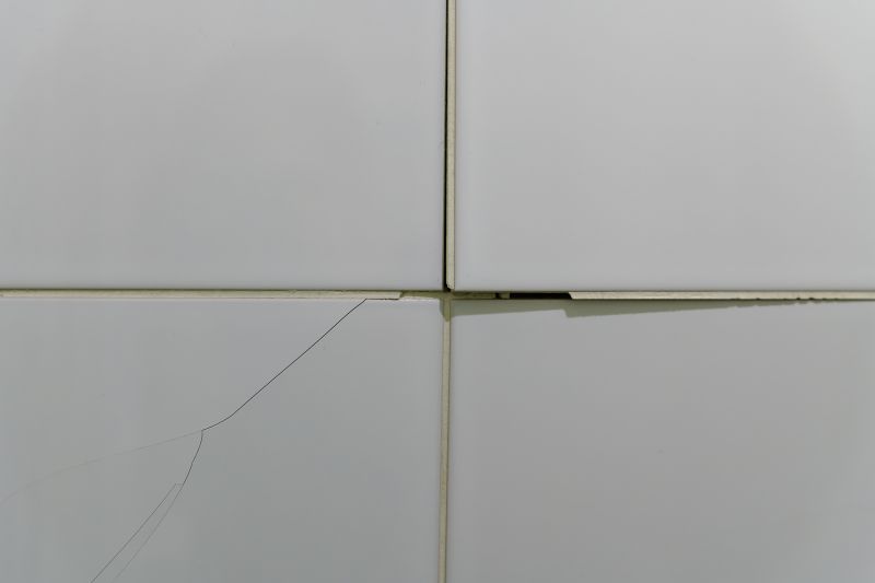 Damaged or Broken Tiles