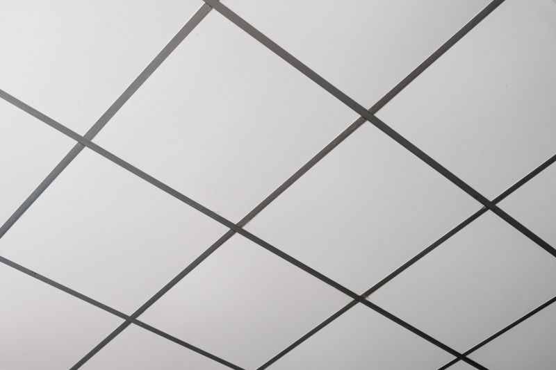 Drop Ceiling Installation in Longmont, CO