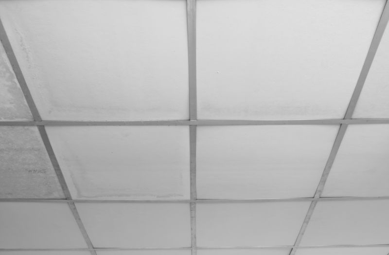Drop Ceiling Repair in Boulder, CO