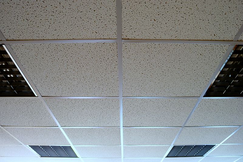 Grid Ceiling Installation in Longmont, CO