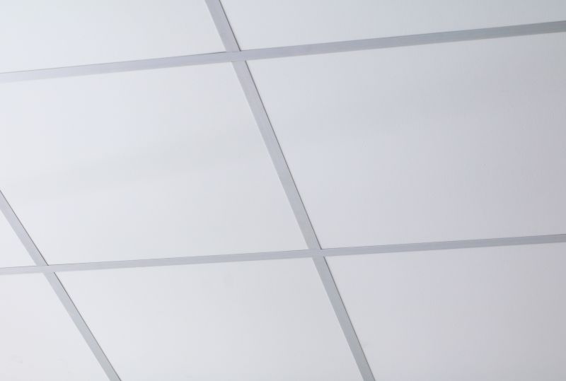Grid Ceiling Installation in Longmont, CO